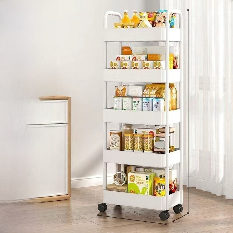 Storage and Organization Shelf